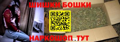 a pvp Новозыбков