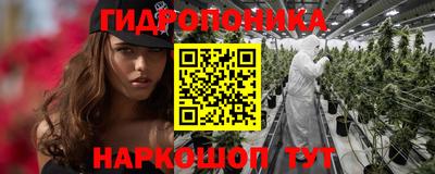 Альфа ПВП Бийск