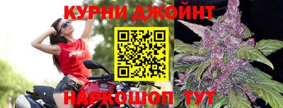 Альфа ПВП Бийск