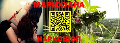 Альфа ПВП Бийск
