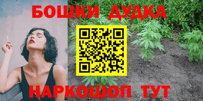 Альфа ПВП Бийск
