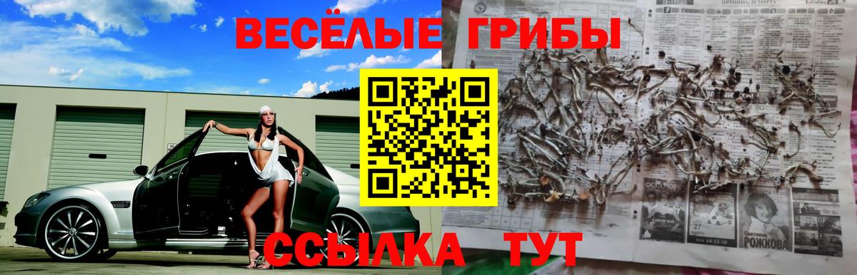 Галлюциногенные грибы Cubensis  Вход с VPN  Иваново  Псилоцибиновые грибы Magic Shrooms 